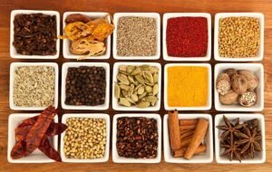 Kerala is Spice Garden of India
