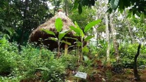 Spice Garden of India